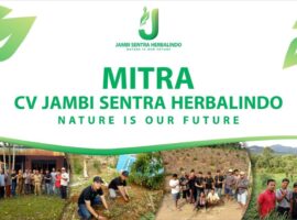 CV Jambi Sentra Herbalindo